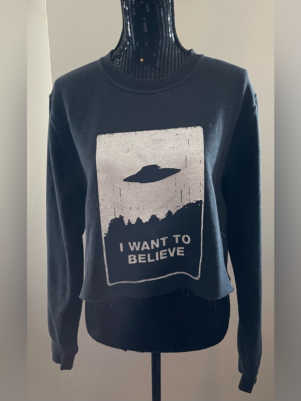 Mountain Ridge Black "I Want to Believe" UFO Graphic Sweatshirt Size Medium
